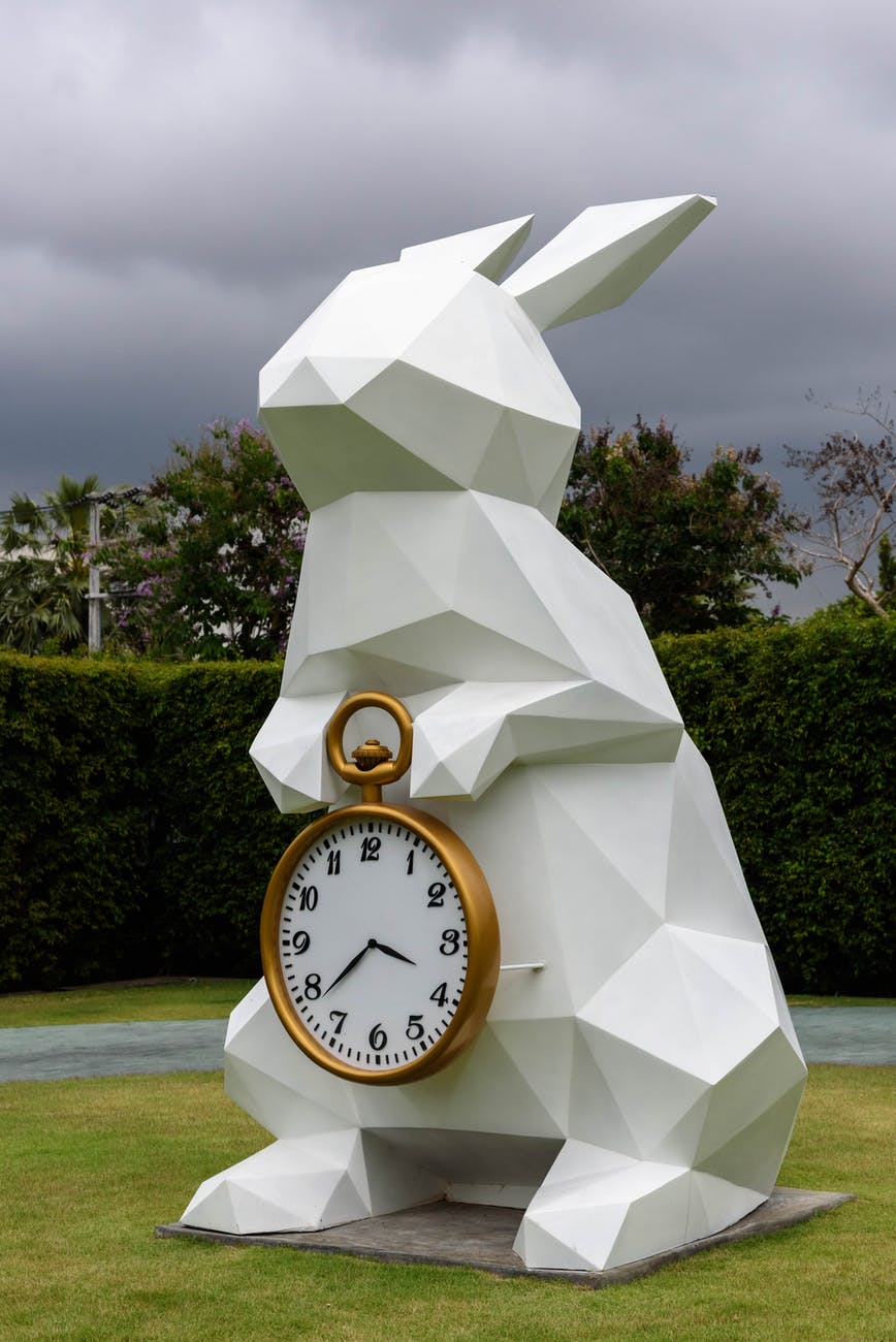 A white rabbit holding a large gold pocket watch
