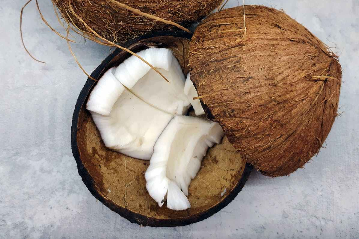 coconuts