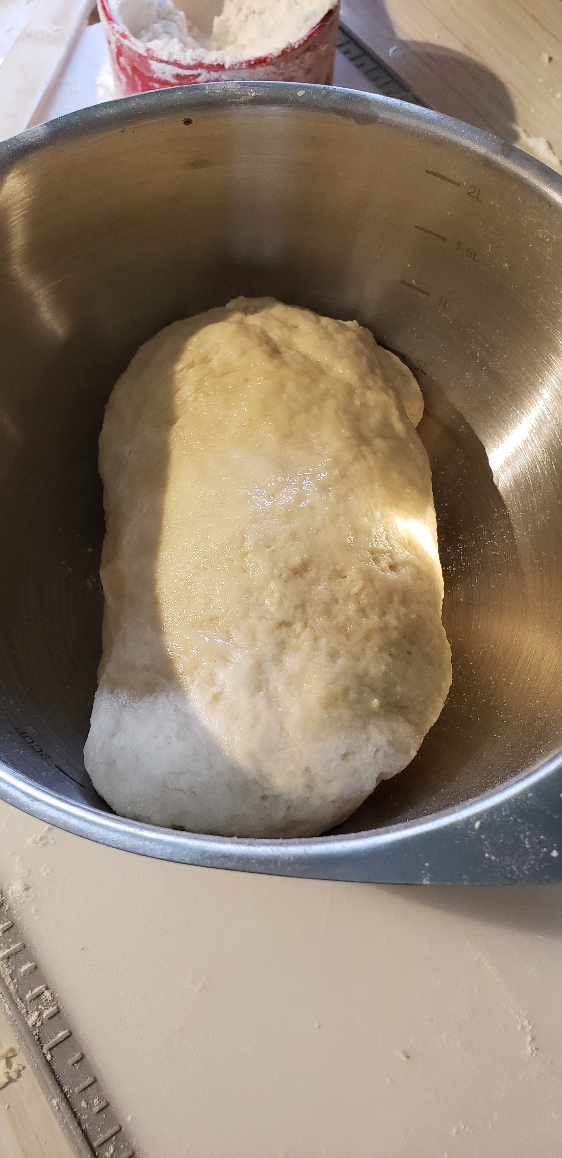 dough before the rise, coated in oil