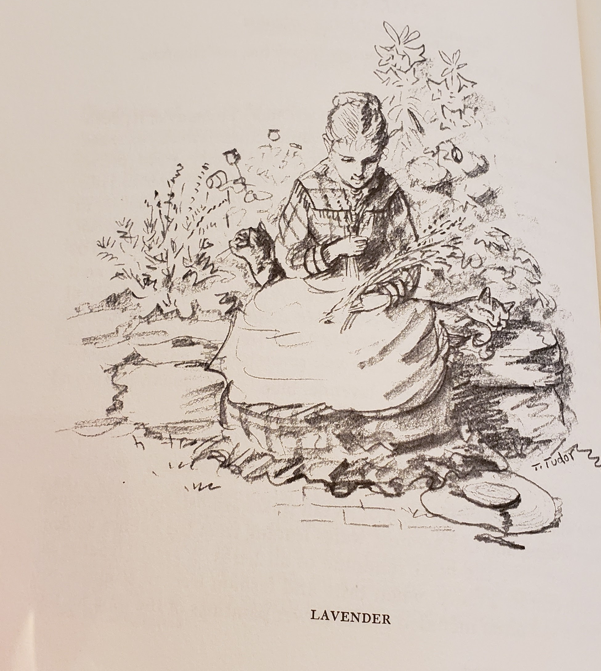 Tasha Tudor's illustration