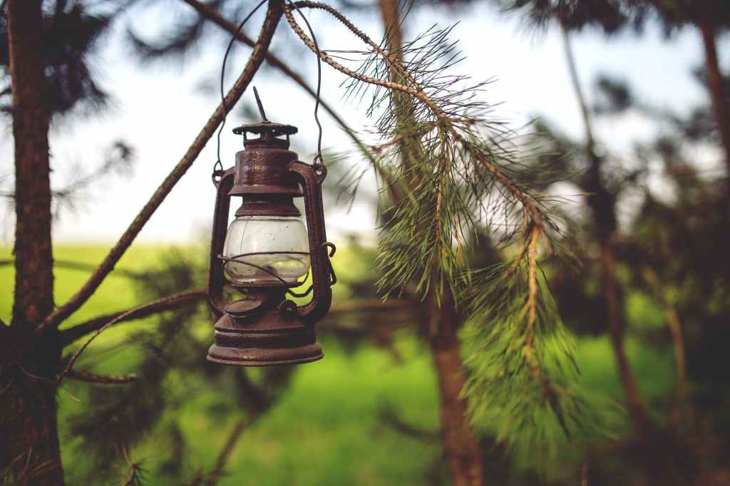 an old kerosene lamp hanging from a tree branch