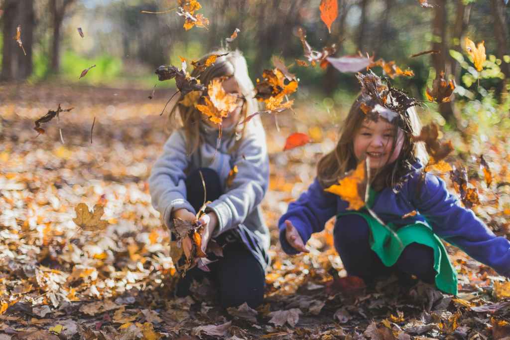 two girls playing in the autumn  leaves