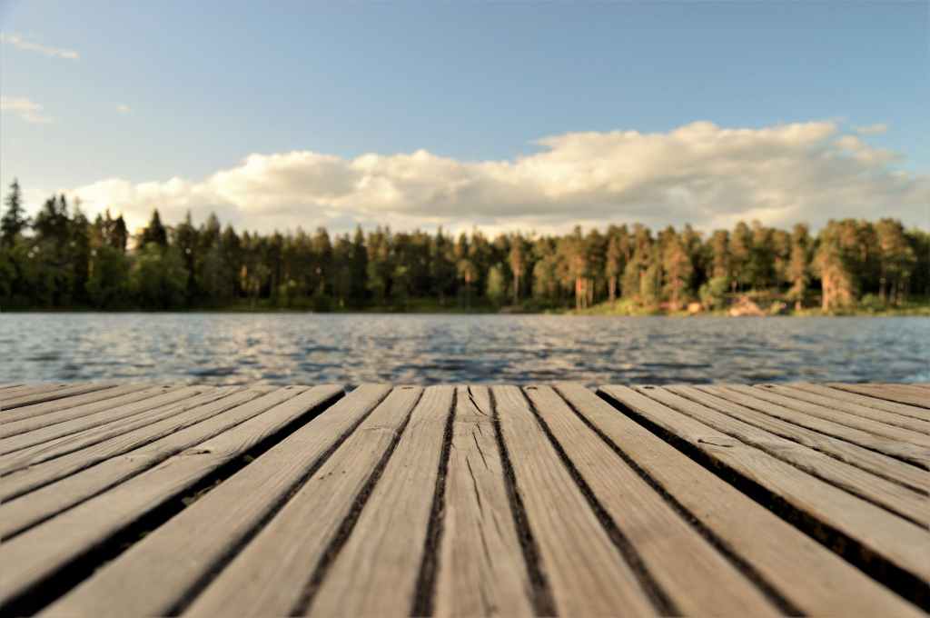 dock overlooking pond