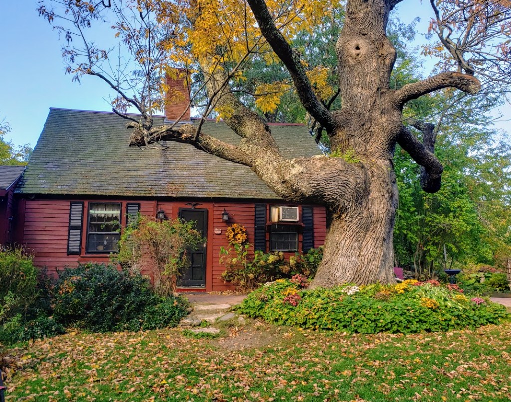 the little red house at Pickity Place