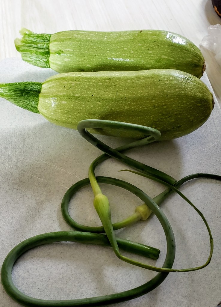 Two squash and two garlic scapes ready to cook