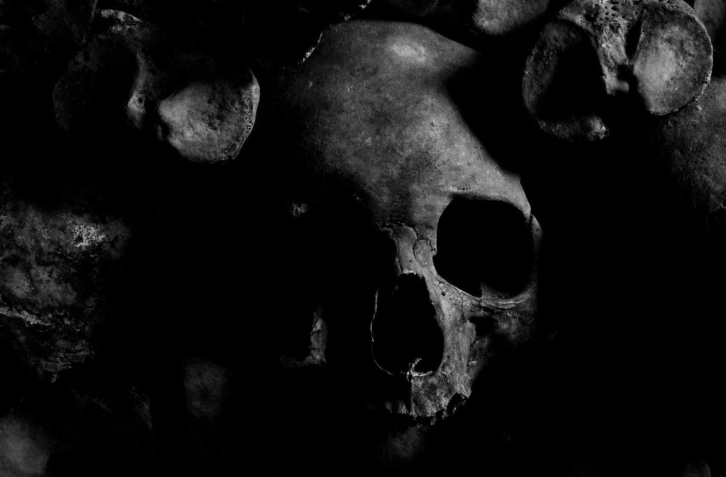 a skull in the dark