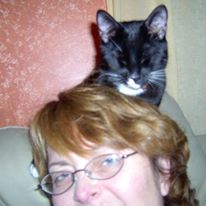 Ozzie on top of my head