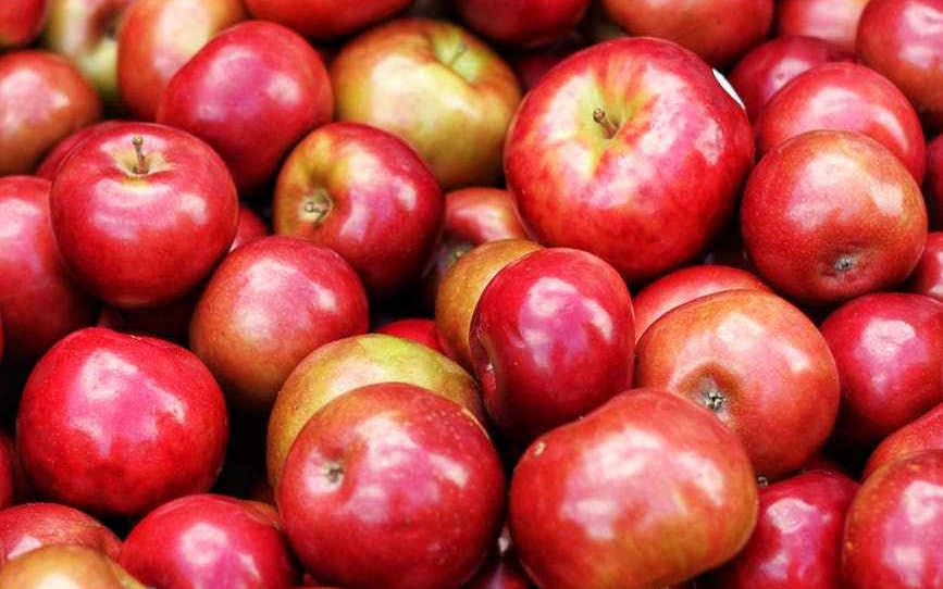 Pile of Macintosh apples
