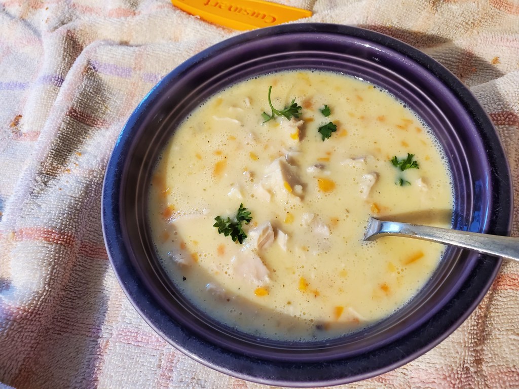 a bowl of chicken soup