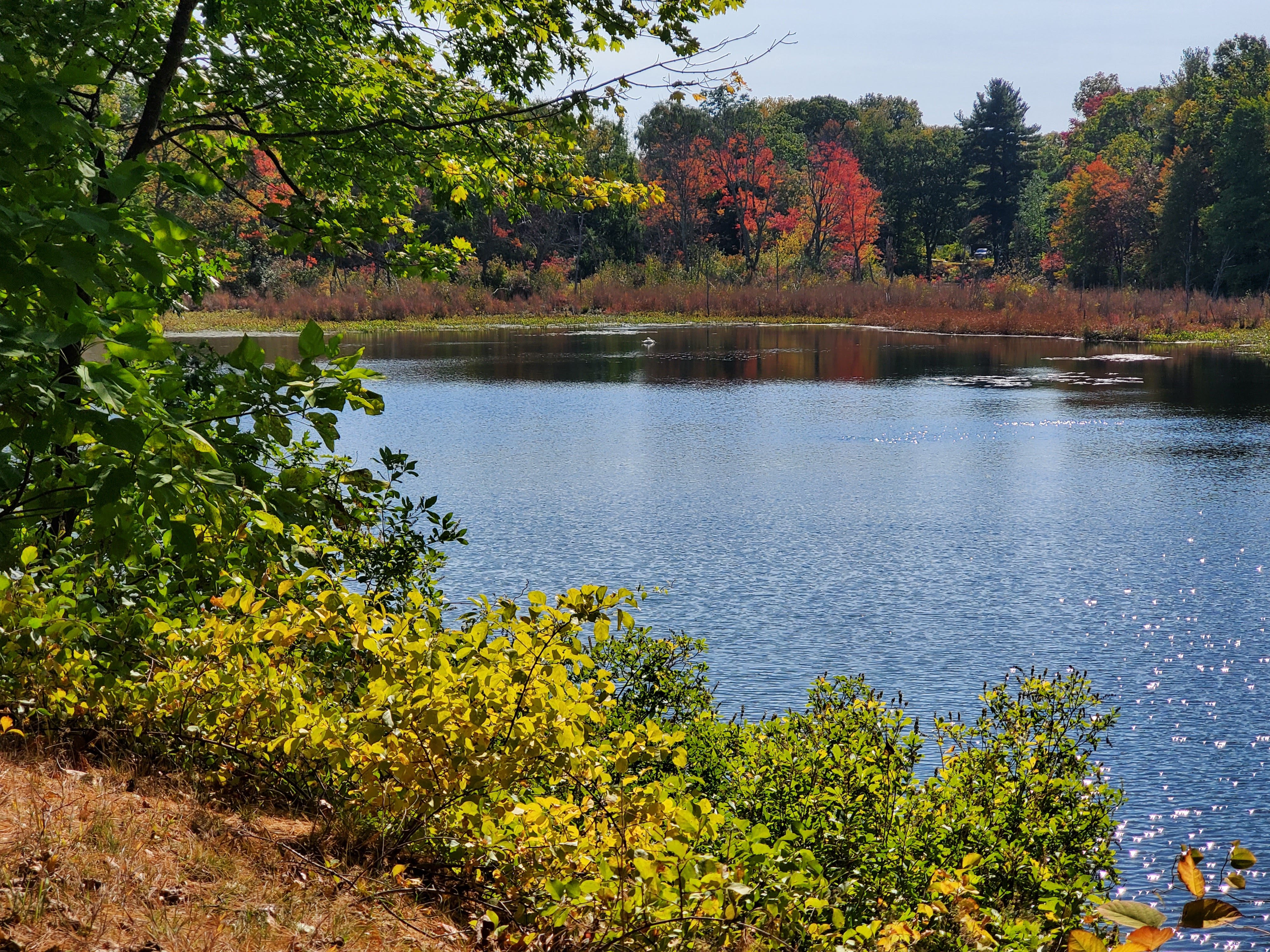 pond/creek surrounding the cemetery