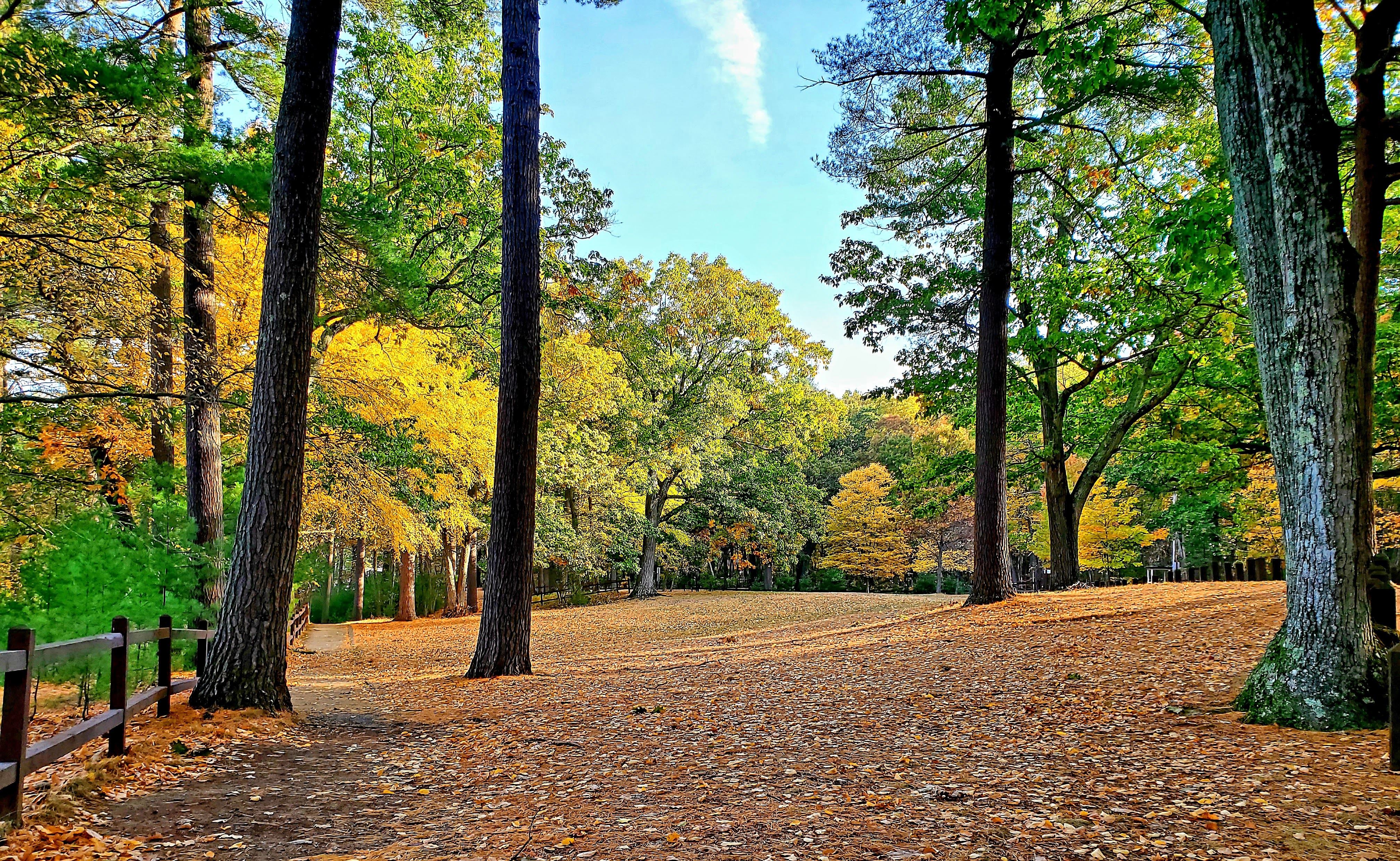 The field overlooking the pond