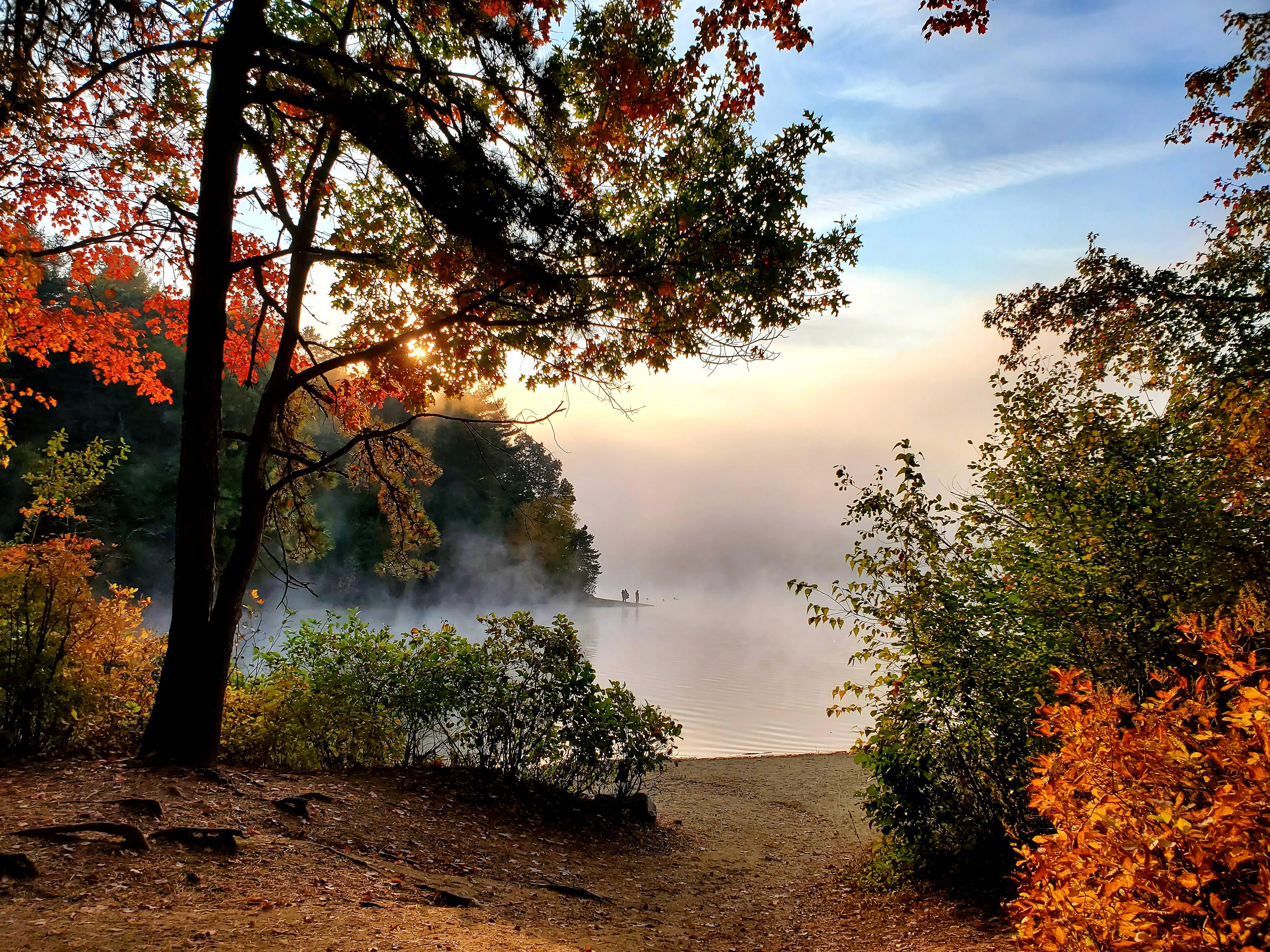 People standing across the water on a beach