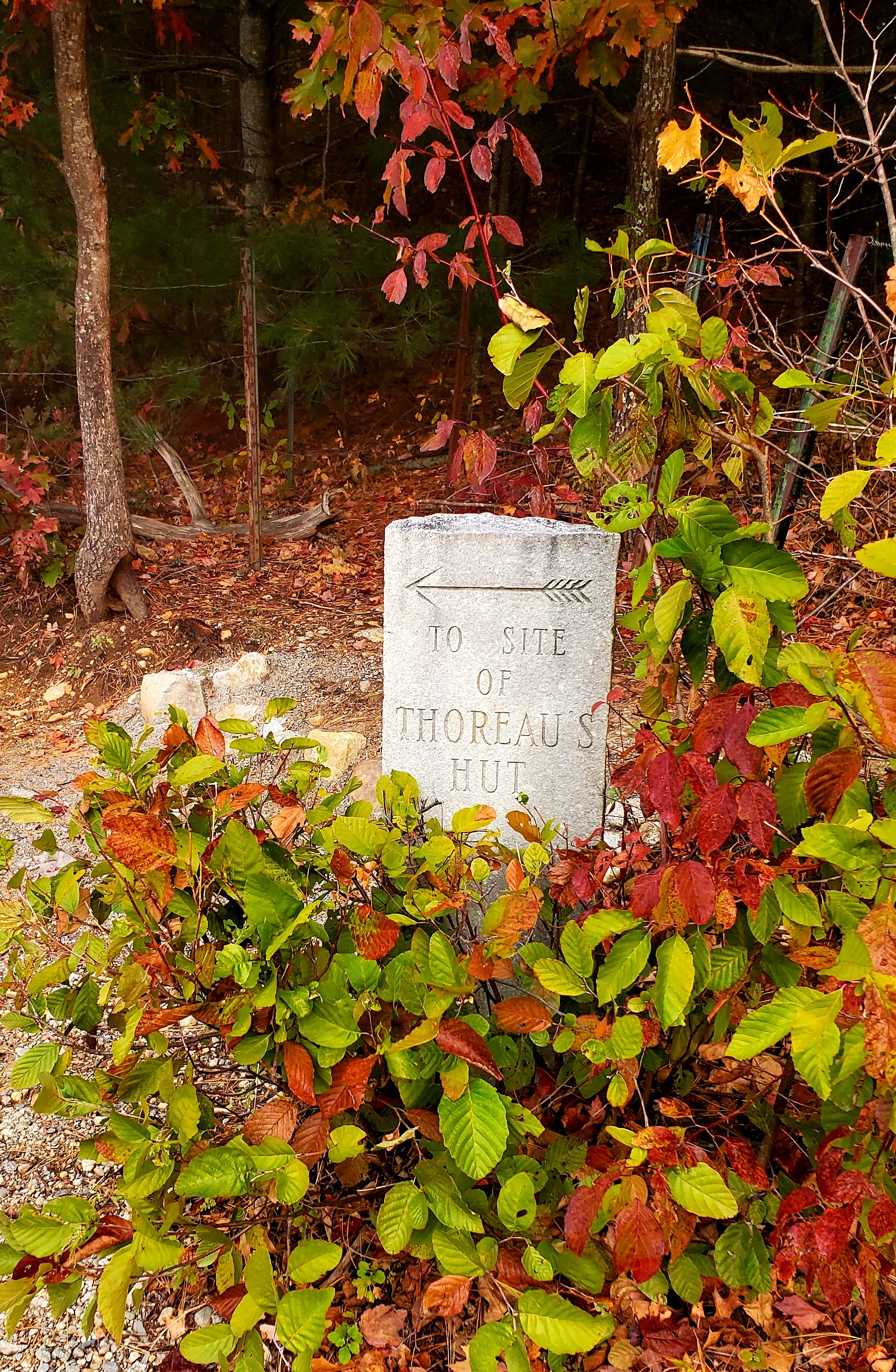 granite sign for Thoreau's hut