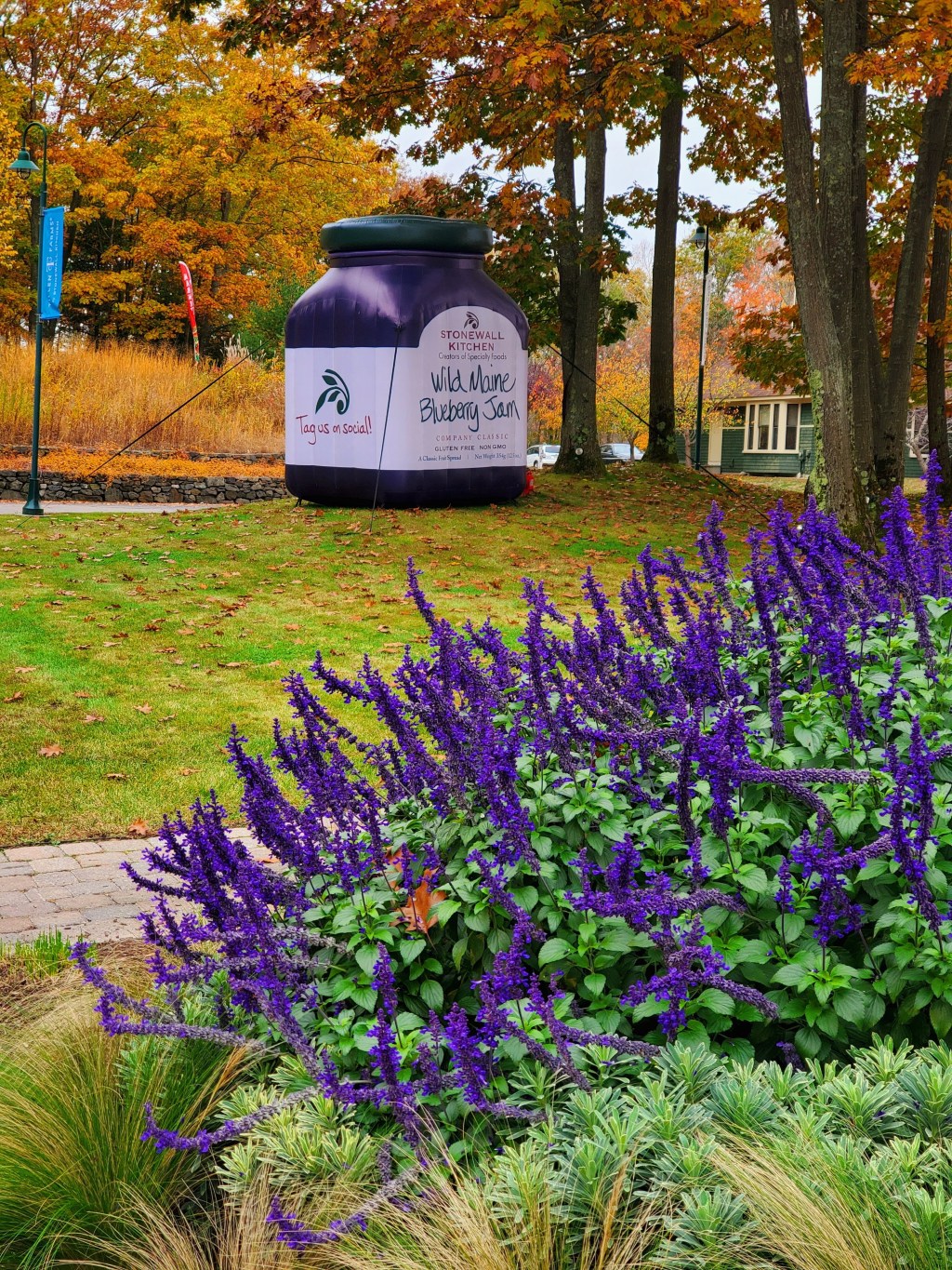 purple flowers and giant Wild Maine Blueberry Jam Balloon