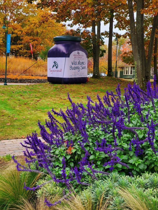 purple flowers and giant Wild Maine Blueberry Jam Balloon