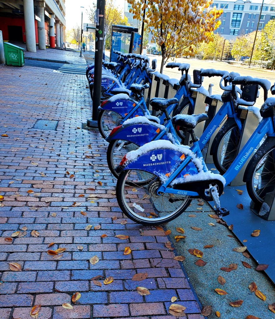 Line up of blue rental bikes