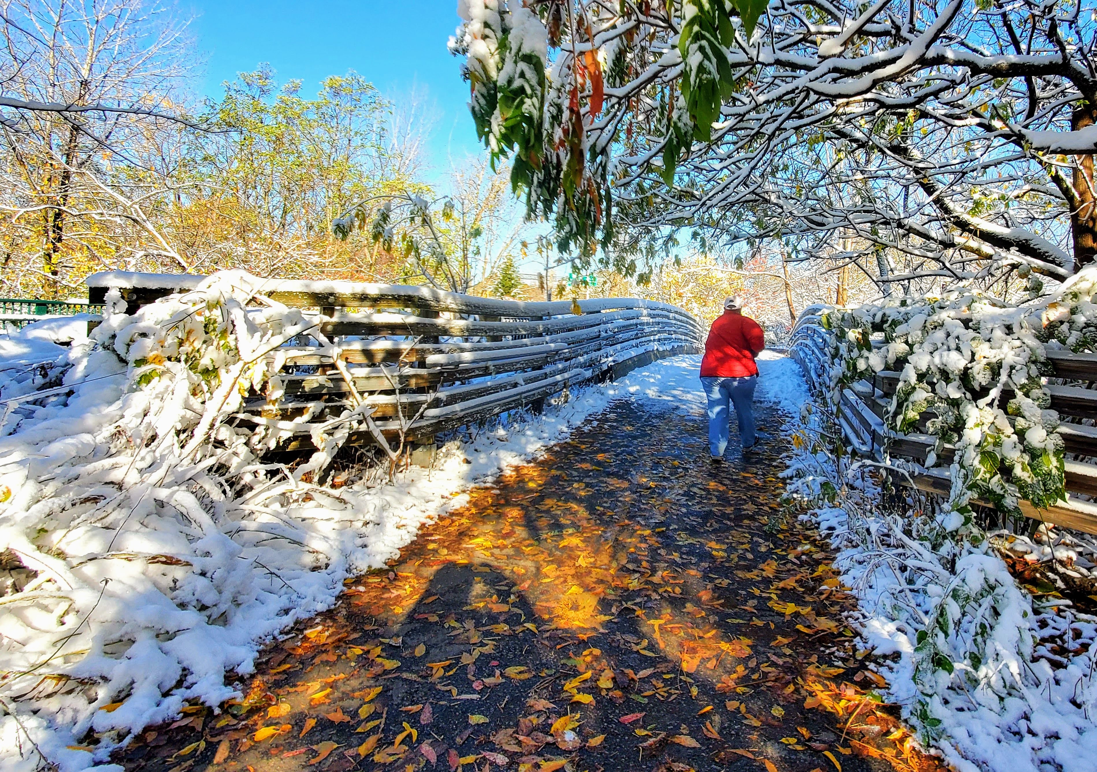 Walking over the brook