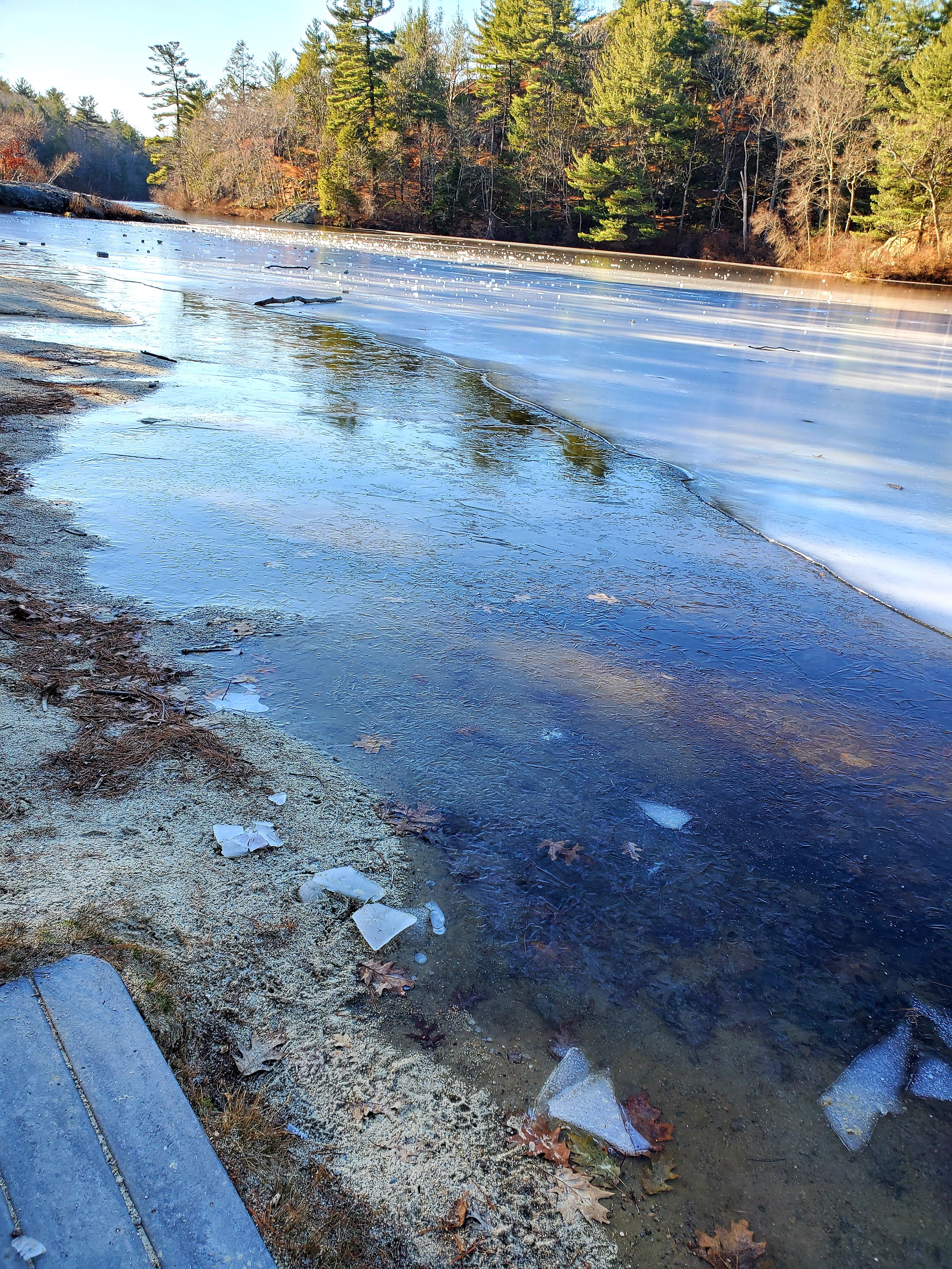 Leaves frozen under the ice