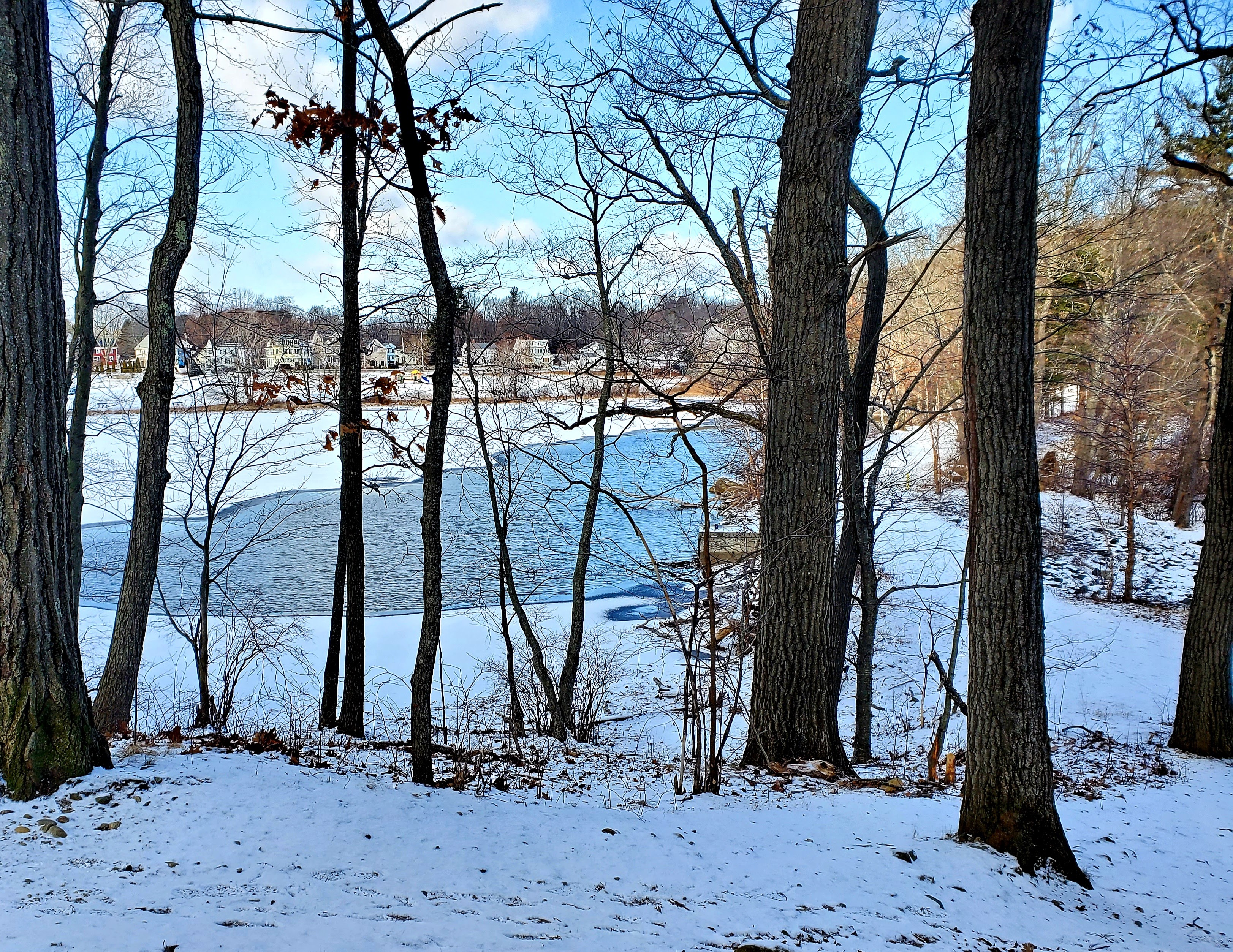 partially frozen lake visible through the trees